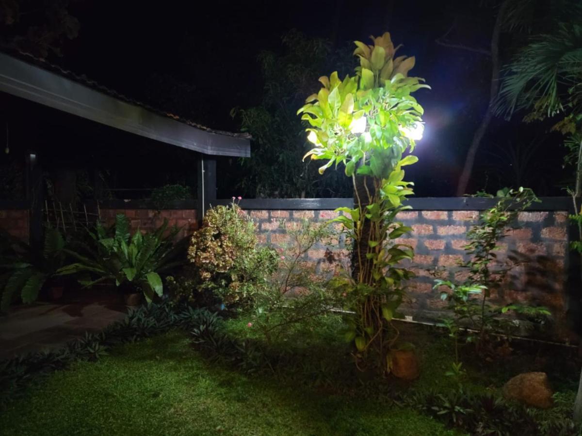 ネゴンボ Edwin'S Airport Garden Bed & Breakfast エクステリア 写真